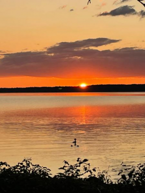 Sjönära stuga in Norrtälje